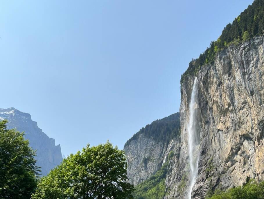 Chalet Maithili Lauterbrunnen -152-Year-Old Majestic Chalet Ngoại thất bức ảnh