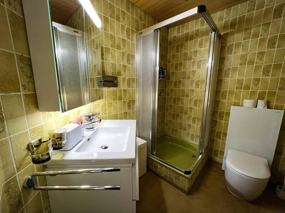 Chalet Maithili Lauterbrunnen -152-Year-Old Majestic Chalet Ngoại thất bức ảnh