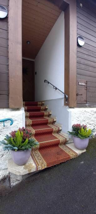 Chalet Maithili Lauterbrunnen -152-Year-Old Majestic Chalet Ngoại thất bức ảnh